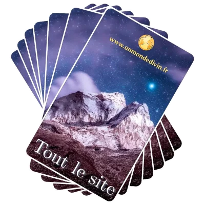 Tout le site