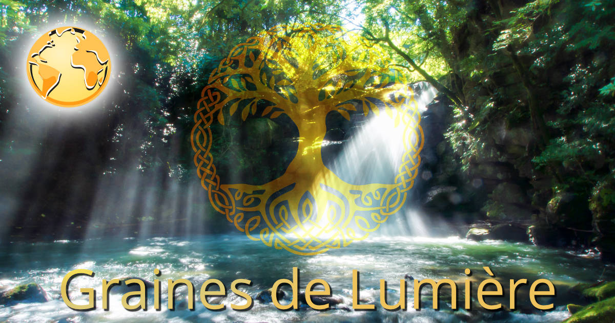 Graines de Lumière | Un Monde Divin