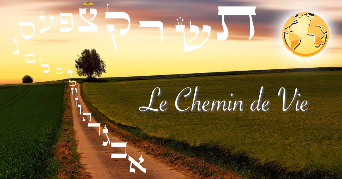 Le Chemin de Vie | Un Monde Divin