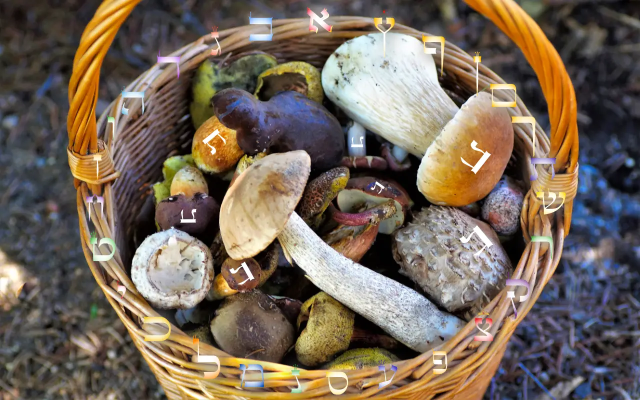 Le Discernement... NOBOOK