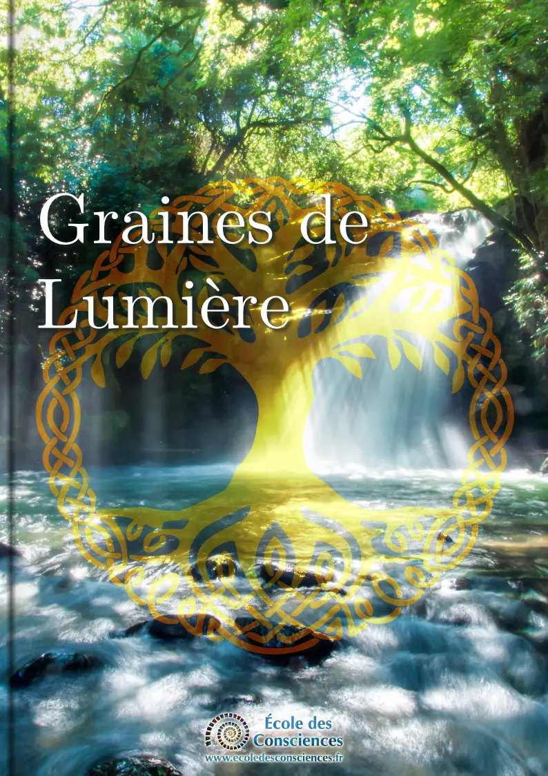 Graines de Lumière